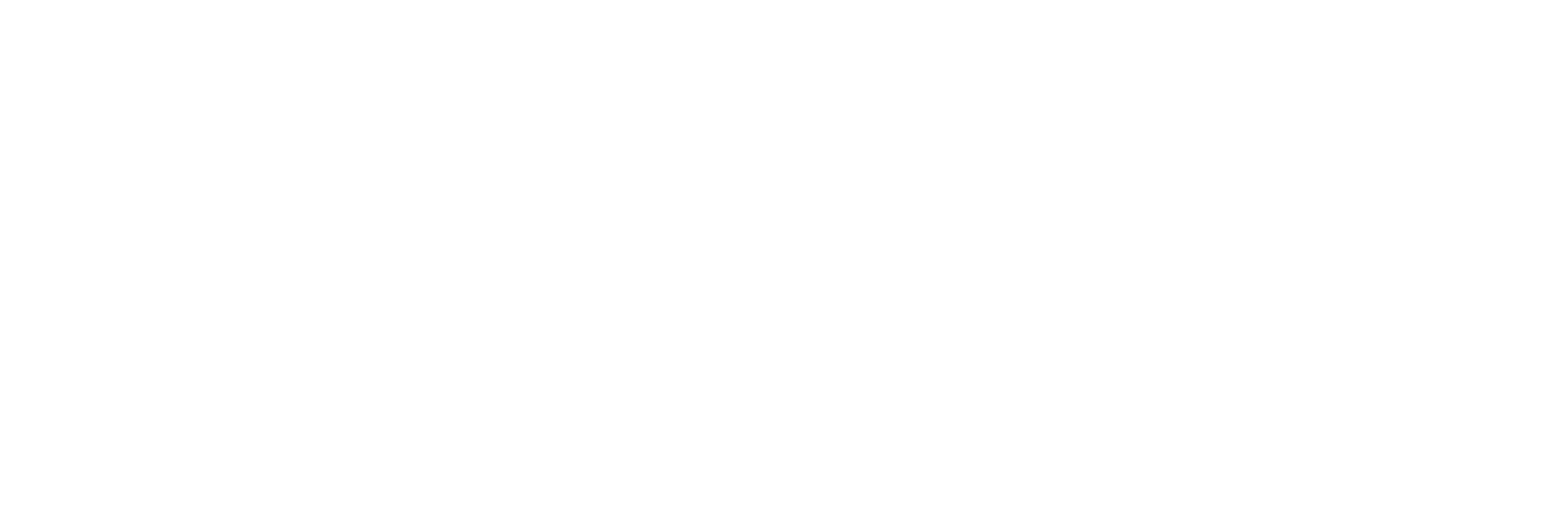NséSignature New Georgia Project